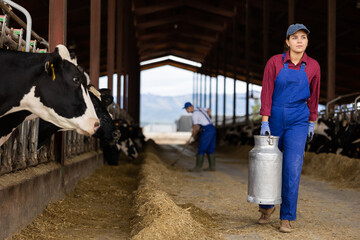 Portraif of young caucasian woman dairy farm worker carrying metal milk can in cowshed