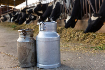 Naklejka premium Image of two dairy canisters standing on a livestock farm and ready to be filled with milk