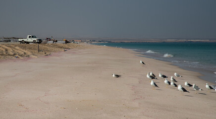 Beach near Al Hadd, city of Oman