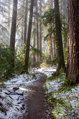 Olympic National Park