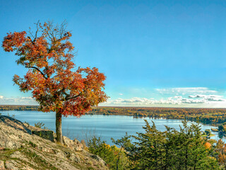 Fototapeta na wymiar autumn landscape with lake and trees