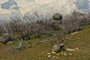 The rugged Alpine region out of Bright in Victoria, travelling up to Mt Hotham ski region and Mt Buffalo. Incredible rock formations and amazing skies.