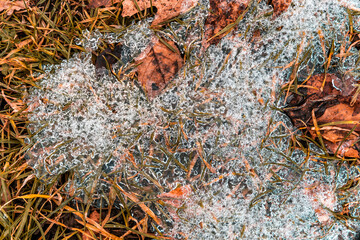 Noch haben strenger Frost mit Minusgraden, Eis und Schnee die Natur fest im Griff. Doch bald wird es einen Neuanfang geben: Der Frühling lässt frisches Grün sprießen und damit neues Leben wach küssen.