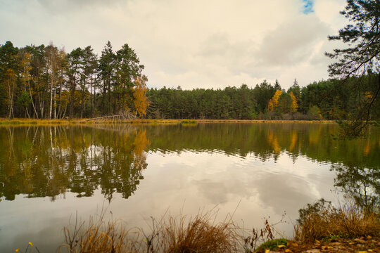Herbstbild - Spaziergang am See im Wald - Ruhe, buntes Laub und goldene Abendstunde