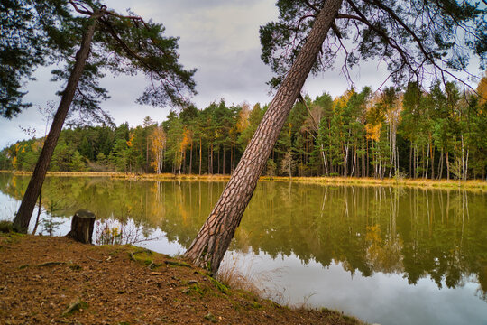 Herbstbild - Spaziergang am See im Wald - Ruhe, buntes Laub und goldene Abendstunde
