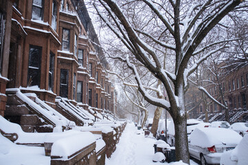 Brownstone Snow