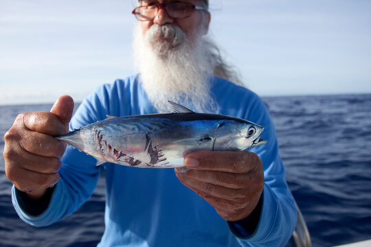 Aku Tuna Fishing off Waianae Coast, Oahu, Hawaii