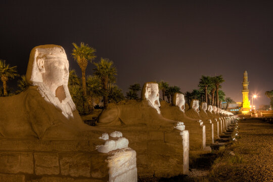 Alley of Sphinxes at Luxor Temple, Egypt