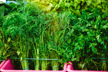 Fresh dill and parsley at Farmers' market