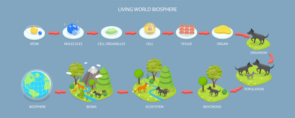 3D Isometric Flat Vector Conceptual Illustration of Living World Biosphere, Labeled Ecosystem Explanation Scheme Outline