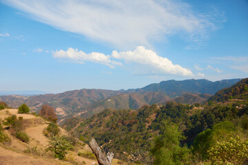 Obraz premium landscape with blue sky and forested mountains