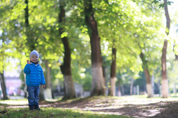 autumn park walk boy, childhood happiness