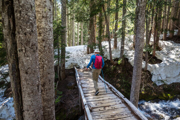 Hike in the forest