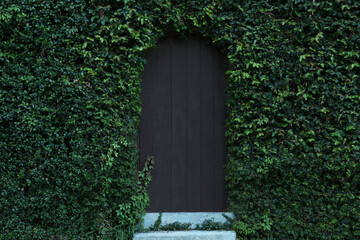 Wooden door covered with vine plant outdoors