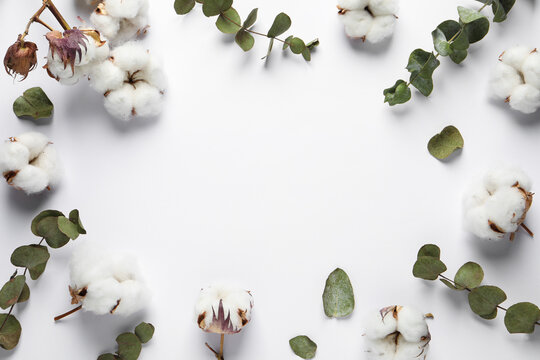 Fluffy cotton flowers and leaves on white background, flat lay. Space for text