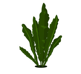 Seaweed plant symbol cartoon illustration vector