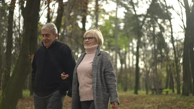 Slow-motion shot of a lovely senior couple holding hands and enjoy walking along wide forest path in slow-motion