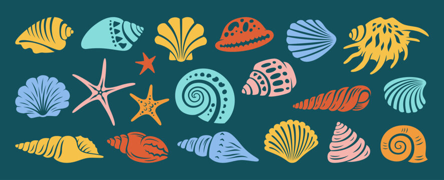 Sea shell, sink cartoon engraving set. Ocean exotic underwater seashell conch aquatic mollusk, sea spiral snail, marine starfish collection. Tropical beach shells aquatic water design illustration