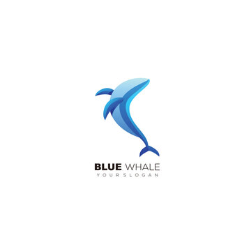 blue whale colorful design logo template icon