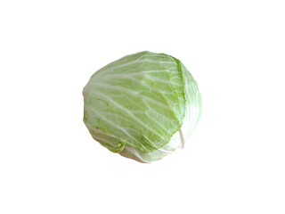 Cabbage on transparent background (Brassica oleracea)
