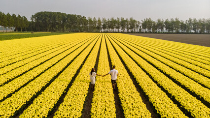 Drone aerial view from above at couple men and woman in tulip field in the Netherlands