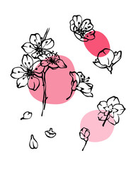 Cherry blossom black and white line art with abstrat pink color spots