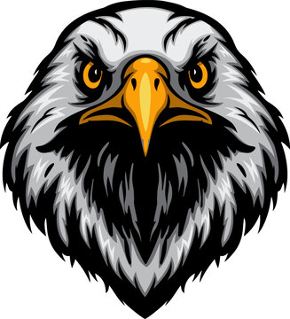 Cartoon eagle head cartoon mascot
