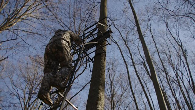 Hunter Climbs Down Tree Stand During Hunting Season