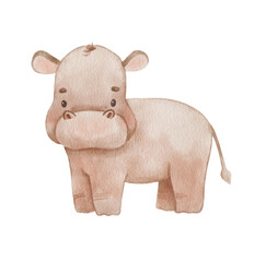 Cute hippo in cartoon style. Watercolor Drawing african baby wild animal isolated on white background. Jungle safari animal