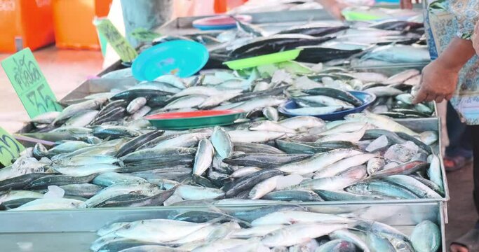 Fresh squid sell in local seafood market customer hand choose food