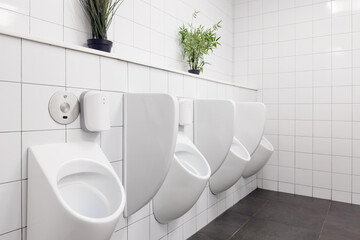 Toilet urinate bowl in white colour theme toilet interior. Cleanliness concept