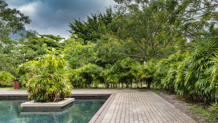 Landscape design of the park. Palm trees grow in the ornamental pool on the flower bed. There is lush tropical vegetation along the paved pedestrian path. Clouds in the sky. Seychelles