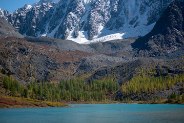 Forest trees grow on stone slopes under mountains with glaciers and snow near a lake in Altai in autumn