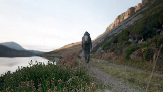 A man is hiking away from a camera in the Scottish Highlands with a cliff and a sea loch in the background while heather and grass gently blows in the wind in the foreground.