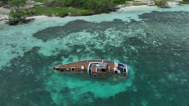 Half sunken yacht and Brown pelican (Pelecanus occidentalis) in Los Roques Archipelago, Venezuela.