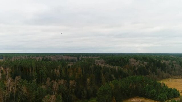 Mi-24 helicopter flying above woodlands of Ukraine, aerial view