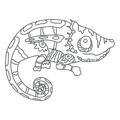 simple doodle line art animals coloring book chameleon