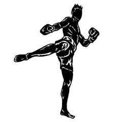 muaythai illustration