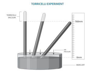The Torricelli experiment demonstrates atmospheric pressure by using a mercury-filled tube inverted in a dish, showing how air pressure supports the mercury column