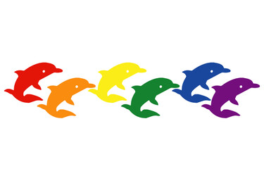 LGBT flag dolphins