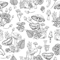 Magic mushrooms seamless endless pattern or repeatable vector illustration.