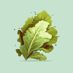 Green lettuce flat color illustration Fresh Organic vegetable for salad - obrazy, fototapety, plakaty