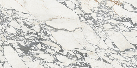 White marble with gray veins