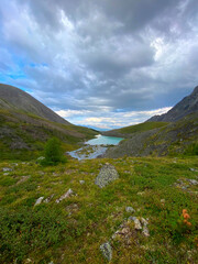 Mountain river turquoise Karakabak with flowers on the shore against the background of the tops of the rocks with a day in Altai among the green grass. Vertical frame.