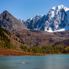 Large mountain peaks with snow and tongues of glaciers near the forest and Lake Shavlinskoye in Altai.