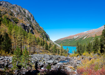 The river among the stones flows down from the heights of the mountains into the turquoise lake Shavlinskoe among the rocks and forests in Altai.