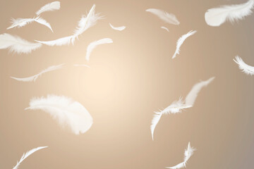 Abstract Group of White Bird Feathers Flying in The Sky