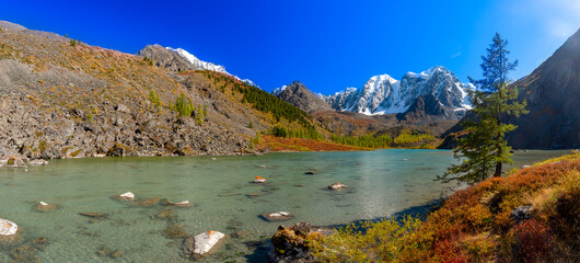Panorama of Lake Shavlinskoe with a tree among mountains with glaciers and snow in Altai. Peaks Dream, Fairy Tale and Beauty.