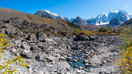 Dry bottom without water of a lake with stones and a small stream in the mountains against the backdrop of snowy peaks with glaciers in Altai during the day.