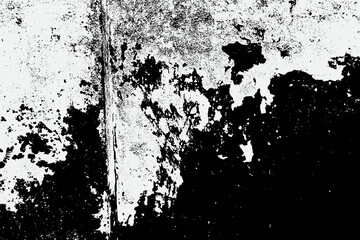 Obraz premium black and white fleck texture, Artistic and natural Texture With Vector EPS format